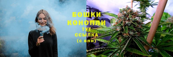 тгк Белокуриха