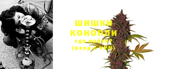 ГАЛЛЮЦИНОГЕННЫЕ ГРИБЫ Белоозёрский
