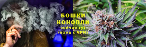 ГАЛЛЮЦИНОГЕННЫЕ ГРИБЫ Белоозёрский