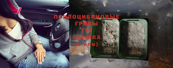 тгк Белокуриха