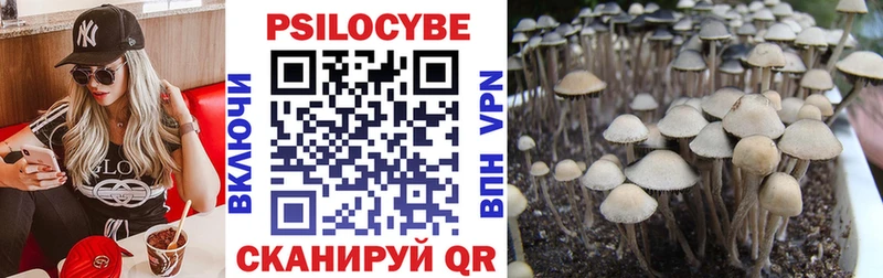 дарнет шоп  Верхний Тагил  kraken вход  Галлюциногенные грибы Psilocybe 